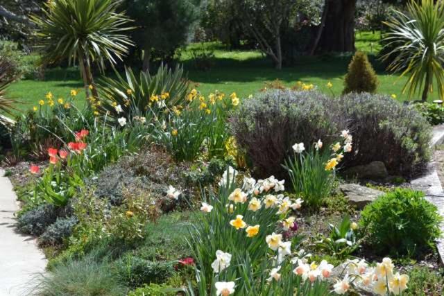 Le Tertre Gatinais Bed & Breakfast Saint-Briac-sur-Mer Dış mekan fotoğraf