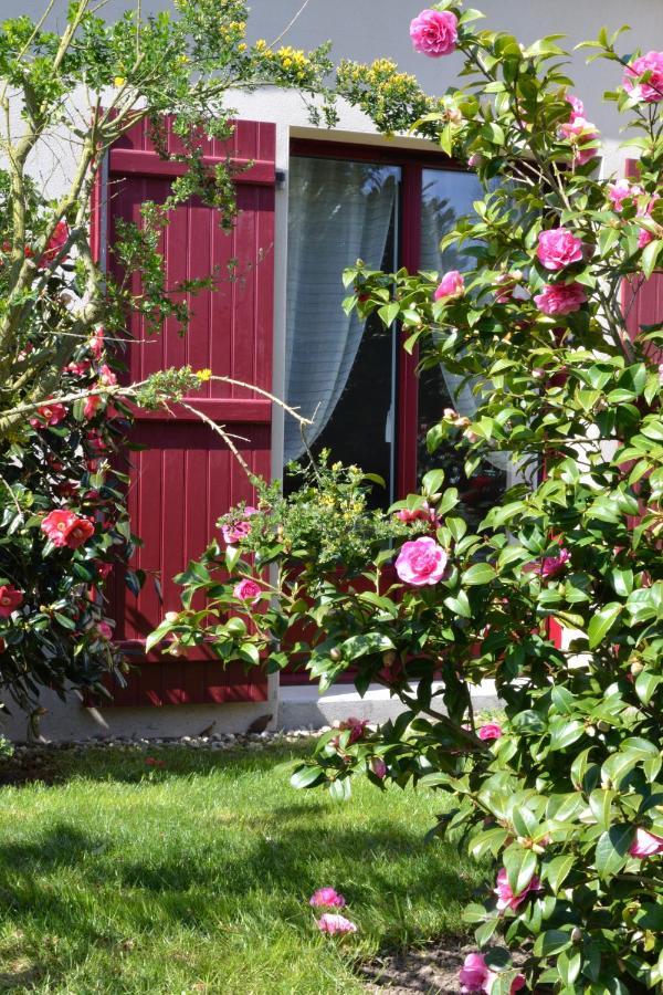Le Tertre Gatinais Bed & Breakfast Saint-Briac-sur-Mer Dış mekan fotoğraf